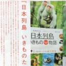 H(에이치) 이미지