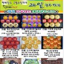 후르츠365