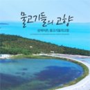 삼해어촌영어조합법인 | 팔금도왕새우- 내 식탁을 풍요롭게 만들어주는 국내산 무항생제 새우