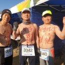 영천시청 이미지