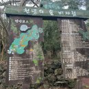 파리바게뜨 산호점 | 2월 제주도 동부 여행 2박3일코스 추천 | 우진해장국 무료주차, 우도배시간, 유채꽃명소, 제주마음샌드...