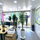 목동현대공인중개사사무소 이미지