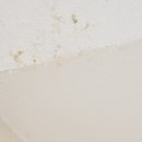 해반천로 이미지