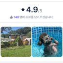 코지빌리지 이미지