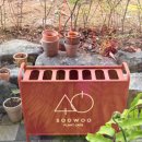 신장동로29번길 | [하남 미사] 도심 속 작은 숲, 힐링 가득한 식물 카페 '카페 수우(SOOWOO)' 본점 🌿