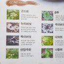 본터웰빙산채오리 이미지