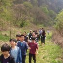 송풍초,용담중 Daum카페