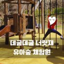 계남 유아숲체험원 | 광주 아이와 갈만한 곳 무료 숲 놀이터 데굴데굴 너릿재 유아숲 체험원 방문 솔직 후기