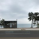 몽돌