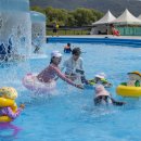 칠곡보야외물놀이장 이미지