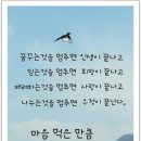 인생먹거리 이미지