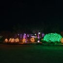 북구 구민운동장 이미지