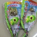 천산약초