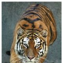 바람이지나간자리 이미지