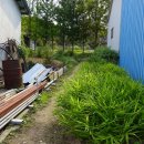 서도정미소 이미지