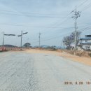 시목정성주유소 이미지