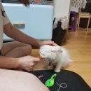 쪼이참치 이미지