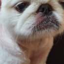 전병준동물병원 이미지