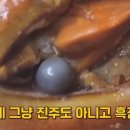 홍합의추억
