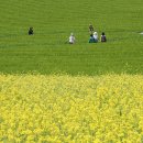 죽림농장 이미지