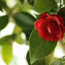 별이사는집 이미지