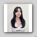 허쉬컷 볼륨매직 후기: 수내역 미용실 에이앤디에서 인생머리 찾았어요!