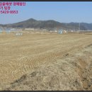 신양면 만사보건진료소 이미지