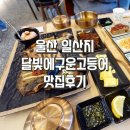 김준호의대단한커피울산 | 울산 동구 일산지 맛집 달빛에구운고등어 생선구이 방문 후기