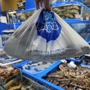 명가참치 | 가락시장 방어 명가수산 생참치 대방어 포장 후기