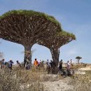 환상의 섬 이미지