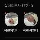 순천우리병원 | 순천 미즈병원 제왕절개 후기