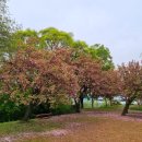 성산패총로-2 이미지