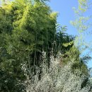 지한초등학교 단설유치원 | 국공립 단설유치원 입학 후기｜첫 등원 날 기록