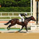 원평1로 이미지