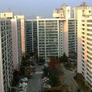 씨젠부속의원 이미지