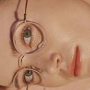 안경닥터 이미지