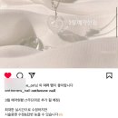 네일온뉴 네이버블로그