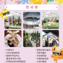 힐튼파크모텔 | 함평나비대축제｜꿈꾸는 나비, 시작되는 여정김 용빈·부활·비오·안성훈 사전예매10%할인, 주차 맛집...