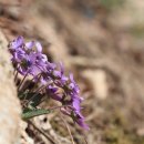 녹번서근린공원 이미지