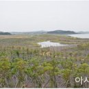 보전간척지 이미지