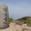 남해-83 Daum카페