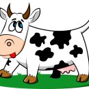 세정 행정사 사무소 이미지