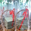 대신초교병설유치원 이미지