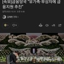 속보]금융당국 “유가족·부상자에 금융지원 추진” 이미지