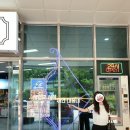 개전농장 | [2021.07.02/#추억일기 - 태종대 전망대 카페, 바다 뷰가 좋은 캠핑 감성의 "블루빈"]