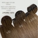 청담붙임머리가발