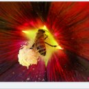 홀리허브 이미지