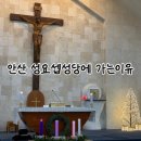 창원 성요셉 성당 | 난임부부 성지로 알려진 안산 성요셉성당_ 성모심신미사 후기