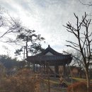 연하2리 다기능회관 | 독특한 정자 광주 무송정(撫松亭)