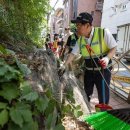 화양초교 이미지